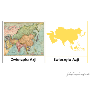 ZWIERZĘTA AZJI – KARTY TRÓJDZIELNE – MONTESSORI 😊