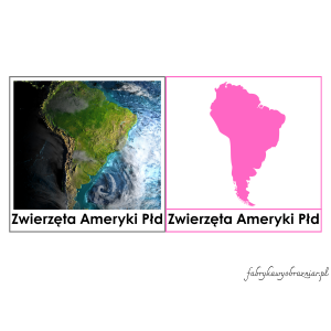 ZWIERZĘTA AMERYKI POŁUDNIOWEJ – KARTY TRÓJDZIELNE – MONTESSORI 😊