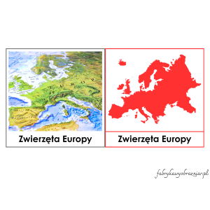 ZWIERZĘTA EUROPY – KARTY TRÓJDZIELNE – MONTESSORI 😊
