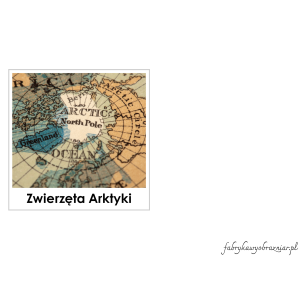 ZWIERZĘTA ARKTYKI – KARTY TRÓJDZIELNE – MONTESSORI 😊