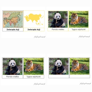 ZWIERZĘTA AZJI – KARTY TRÓJDZIELNE – MONTESSORI 😊