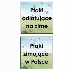 PTAKI ODLATUJĄCE NA ZIMĘ ORAZ ZIMUJĄCE W POLSCE – KARTY TRÓJDZIELNE 😊