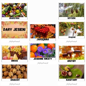 OZNAKI I DARY JESIENI 🍁🍂- PLANSZE EDUKACYJNE.