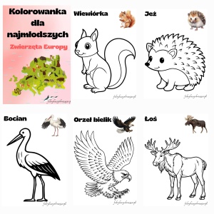 KOLOROWANKA DLA NAJMŁODSZYCH – ZWIERZĘTA EUROPY 😊