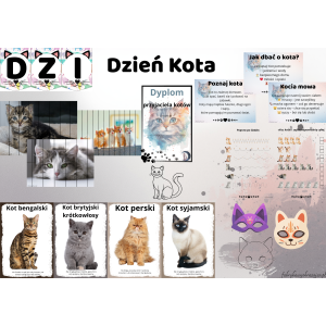 DZIEŃ KOTA 🐱