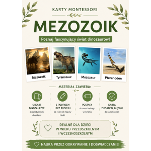 MEZOZOIK- KARTY MONTESSORI- ERY 😊